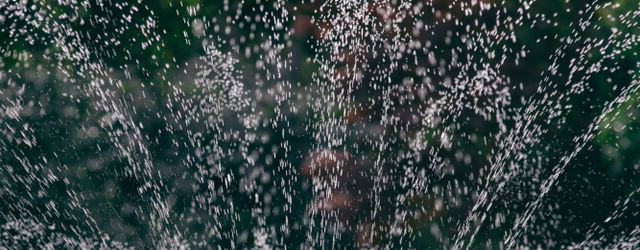 How to be water efficient in the garden - save water